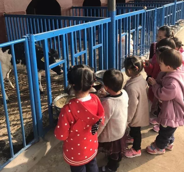 1509010471127356.png blob.png